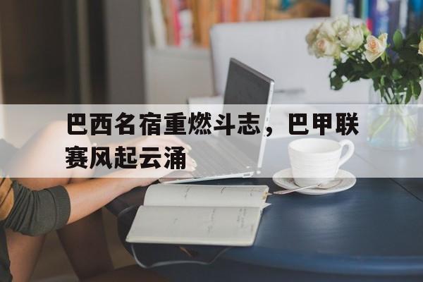 巴西名宿重燃斗志,巴甲联赛风起云涌